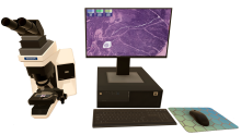 Microscope Specimen